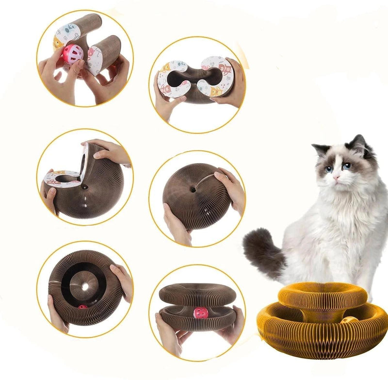 OFERTA Gato Mágico + Arranhador