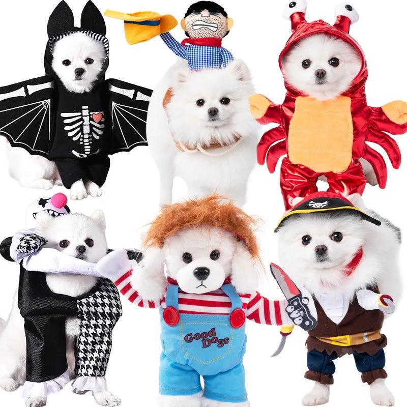 OFERTA Fantasias HALLOWEEN Pet